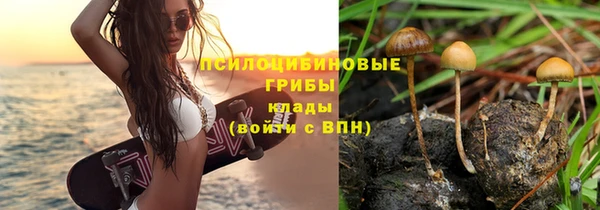 первитин Зерноград